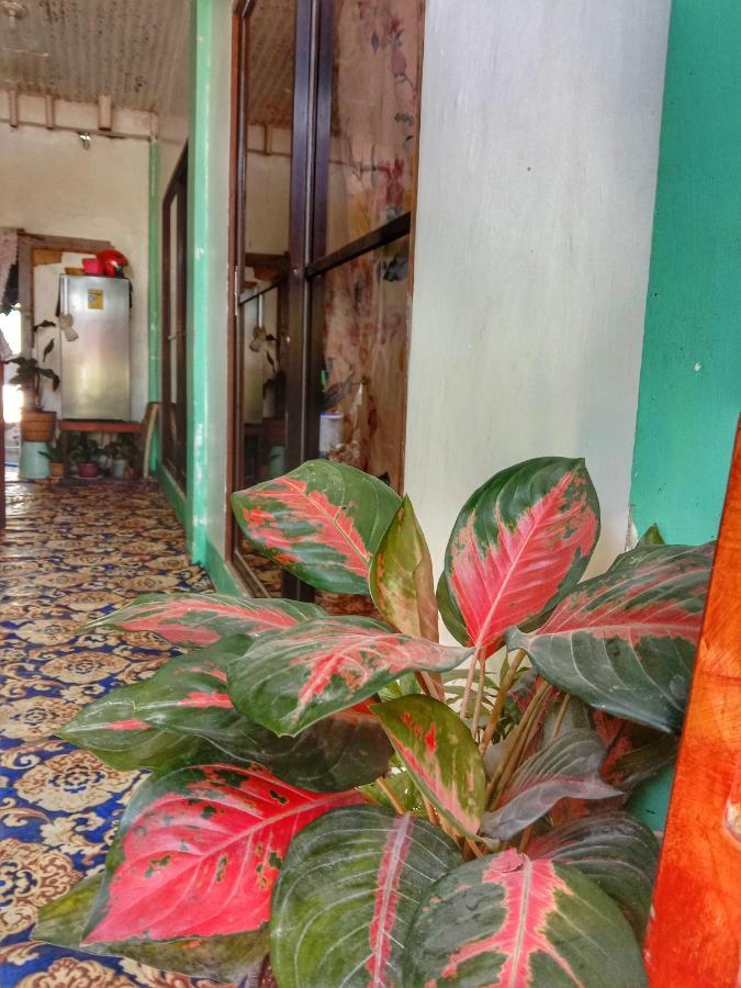 Abba Homestay เจเนอรัลลูนา ภายนอก รูปภาพ